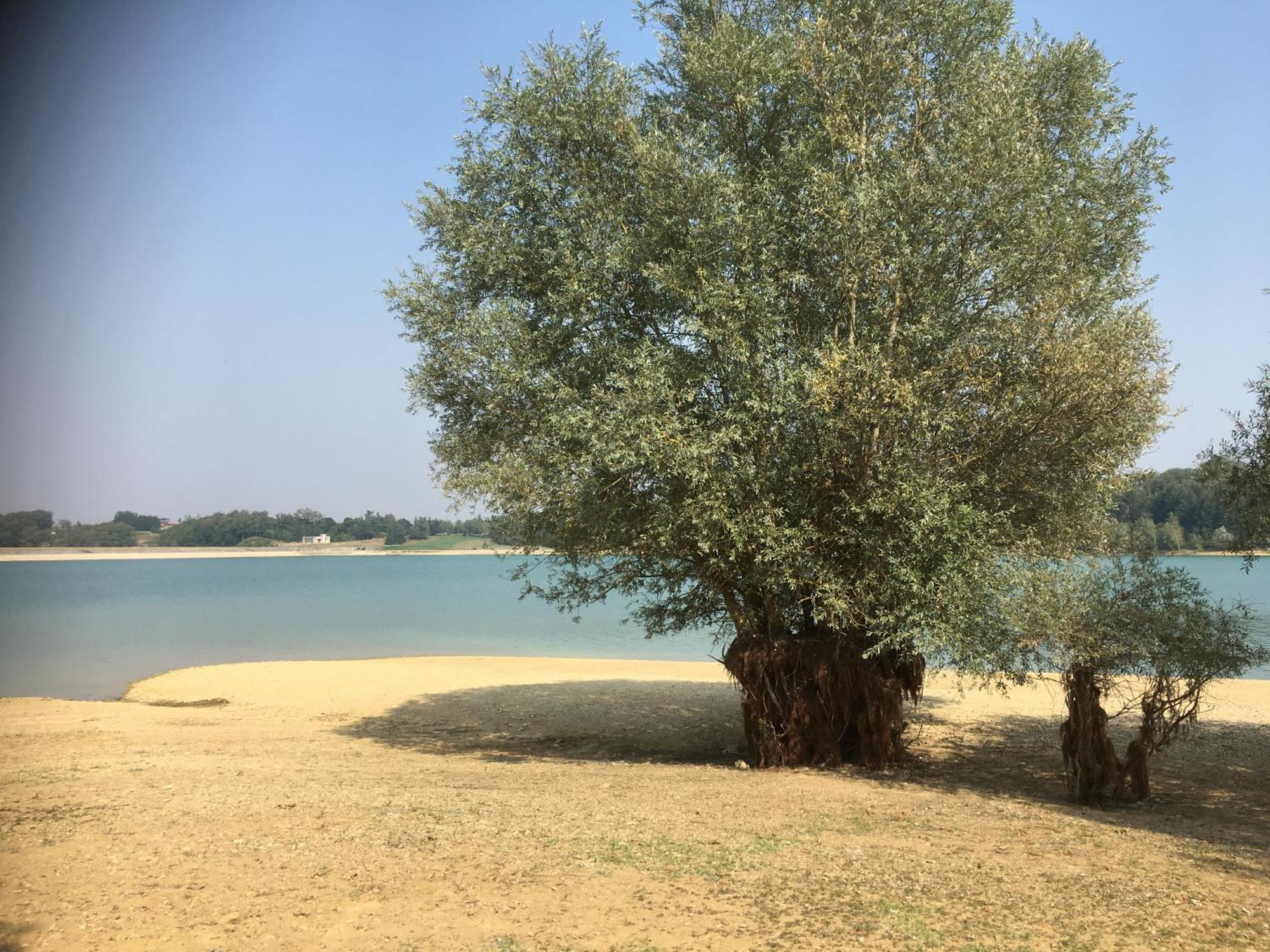 LʼIsle-en-Dodon Chez Christian B&B 외부 사진